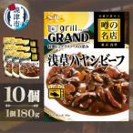 SB 噂の名店 浅草ハヤシビーフ×10個