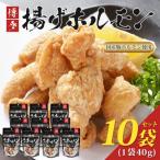 博多揚げホルモン 10袋セット