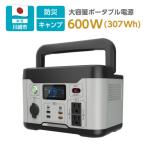 多摩電子工業株式会社 ポータブル電源600W