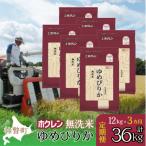 無洗米12kg ホクレンゆめぴりか2kg×6袋