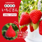 いちごさん240g×2パック H124101