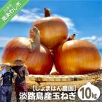 淡路島産玉ねぎ10kg
