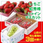 ふるさと納税 山形市 【定期便3回】☆フルーツ王国山形☆『いちご、紅秀峰、シャインマスカット』 FY25-316