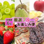 ふるさと納税 山形市 【定期便6回】厳選フルーツお楽しみ FZ25-790