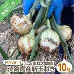 fu.... налог юг ... город [ новый шар предварительный заказ ][.... . сельское хозяйство .] Toro ....!! Awaji Island производство новый шар лук порей 10kg