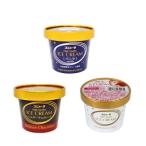 ショッピングふるさと納税 アイス ふるさと納税 名古屋市 アイス 11個 詰め合わせ【チョコ入り】 シンカンセンスゴイカタイアイス 詰合せ