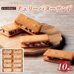 ふるさと納税 山形市 ESCARGOT チェリーバターサンド 10個入 FZ20-316