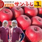 りんご サンふじ 約3kg