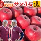 りんご サンふじ 約10kg
