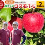 りんご コスモふじ 約2kg