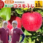 りんご コスモふじ 約10kg