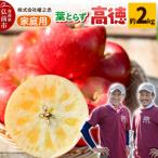 りんご 高徳 約2kg