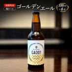地ビール ゴールデンエール 6本