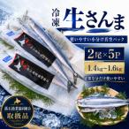 冷凍生さんま2尾×5P サンマ 秋刀魚 魚