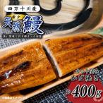 希少 四万十川産 蒲焼 カット 計400g