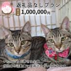 小郡市への寄付（返礼品なし）