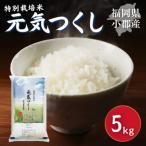 特別栽培米 元気つくし 5kg
