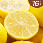 柚子 花柚子 黄玉 16パック