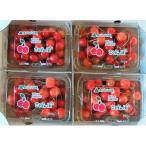 fu.... налог сверху гора город вишня ( Sato .)200g×4 упаковка . для бытового использования 0112-2612