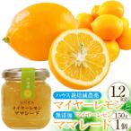 先行受付 ハウス栽培減農薬 マイヤーレモン