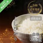 令和7年産米 淡路島産こしひかり 玄米30kg