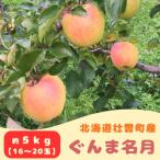 ふるさと納税 壮瞥町 ファームアグリエイトのりんご「ぐんま名月」 約5kg(16〜20玉)SBTB014