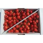 ふるさと納税 上山市 さくらんぼ(紅さやか)1kg　ご家庭用　0030-2605