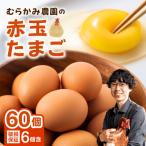 むらかみ農園の赤玉たまご60個_Y140-0002