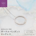 PT900 PT850 1ctダイヤモンド