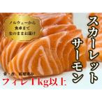 生スカーレットサーモン アトランティックサーモン 1000g以…