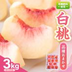 令和9年産 白桃 3kg