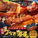 うなぎ蒲焼 200g×10尾セット
