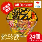 日清 北のどん兵衛 カレーうどん 24個