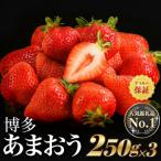 いちご No.1獲得謝礼品 品 博多あまおう約810g