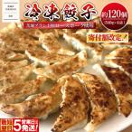ふるさと納税 境町 【茨城県共通返礼品】◎最短翌日発送◎ ローズポーク使用 冷凍餃子 約120個 (540g×4袋)
