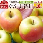 ふるさと納税 弘前市 りんご 【26年1月出荷】 ぐんま名月 約10kg 訳あり|24_nng-091001ah