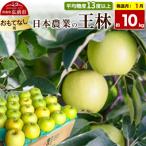りんご 王林 約10kg
