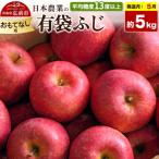 りんご 有袋ふじ 約5kg