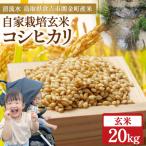 令和8年産米 コシヒカリ 玄米 20kg