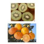 fu.... налог Fuji город мандарин 3kg&amp; киви фрукты ( разделение слово )2kg. набор (1008)