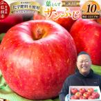 りんご 葉とらず サンふじ 約10kg