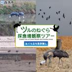 ツルのねぐら 採食場観察ツアー Guided