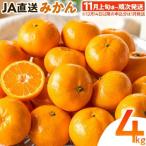 みかん 4kg