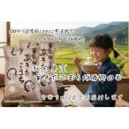あきたこまち 雄勝郷の米 白米5kg×2袋
