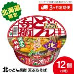 日清 北のどん兵衛 天ぷらそば 12個