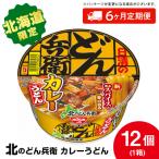 日清 北のどん兵衛 カレーうどん 12個