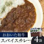 おおいた和牛 スパイスカレー 4袋