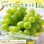 シャインマスカット約1kg