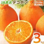 デコポン 3kg