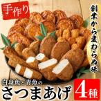 寺田屋 手作りさつま揚げ 白身魚 青魚のつけ揚げ